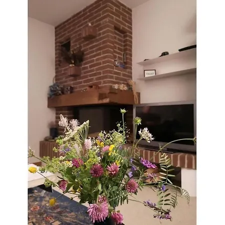 Charming In Apartment