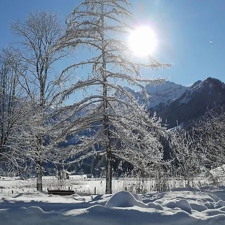 Apartment Charming In Lenk